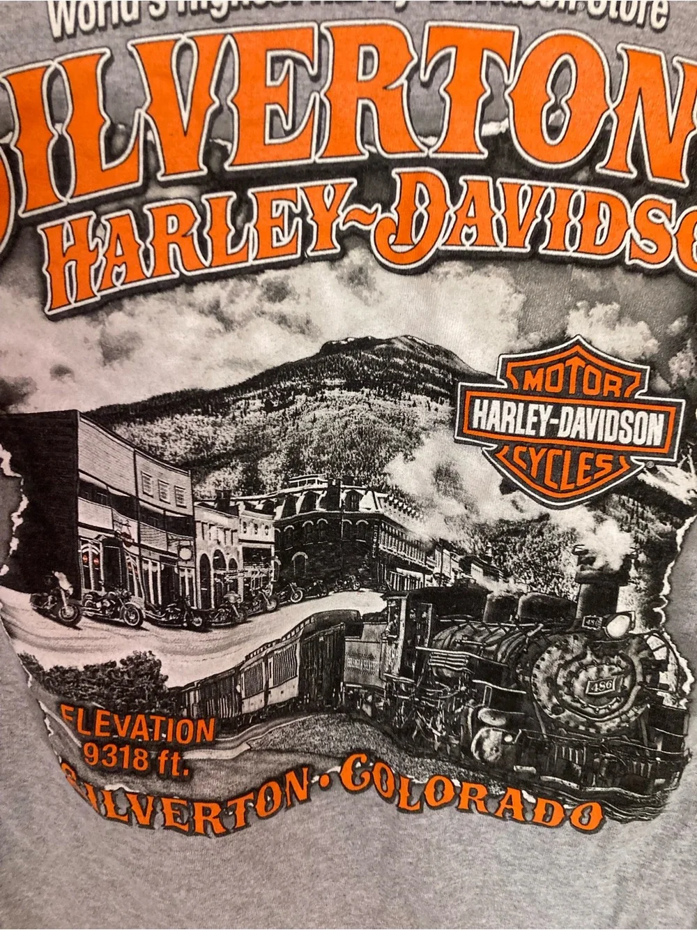 Harley-Davidson Gray Long Sleeve Skull Logo Tee